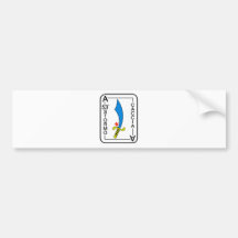 53o Stormo Bumper Sticker