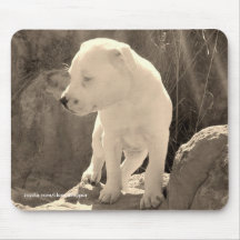5-3-2005-20, 3D CULTURE MOUSE PADS