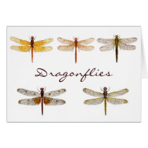 5 Dragonflies.. Greeting Cards
