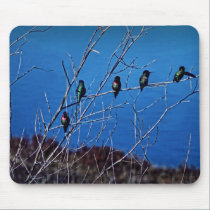 5 hummingbird"s on a mousepad mousepads