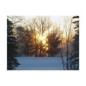 5 January 2010 postcards