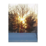 5 January 2010 Postcards