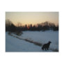 5 March 2010 Post Cards