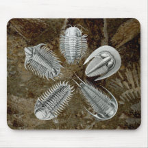 5 Trilobites Mousepad
