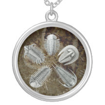 5 Trilobites Necklace