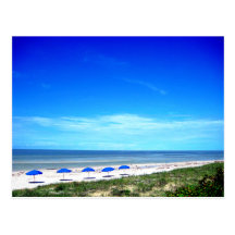 5 Umbrellas Postcard