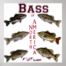 5Ft.Bass of N.America Poster
