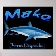 5Ft. Mako Poster