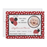 5x7 Crimson Red Lady Bug Photo Birth Announcement