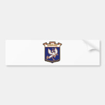 60o Stormo Bumper Sticker