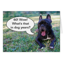 60th Birthday Dog Years French Bulldog Card