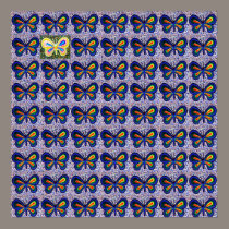 63 papillons affiches