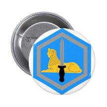 66th Military Intelligence Bn Pins