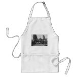 69th New York State Militia. June 1, 1861 Apron