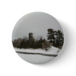 6 February 2010 Pin