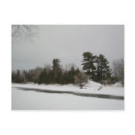 6 February 2010 Postcard