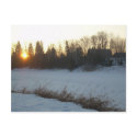 6 March 2010 postcards