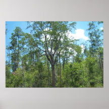 6ft. Mississippi River Marsh Tree Print