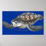 6Ft. SeaTurtle Poster by FishTs.com