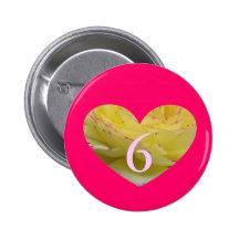 6th Birthday Pins