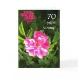 70th Birthday Card - Pink Roses