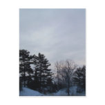7 January 2010 Postcards