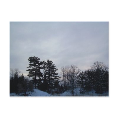 7 January 2010 by NiftyMorning