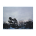 7 January 2010 postcards