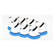 7 Swans Swimming Customized Photo Card