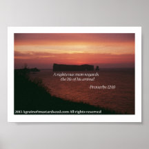 7" x 5" Agrainofmustardseed.com Scripture Picture Poster