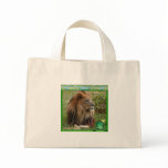 85-african-lion-st-patricks-0022 canvas bags