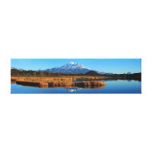 88 MT SHASTA AND GOLDEN TULES (46X12) GALLERY WRAPPED CANVAS
