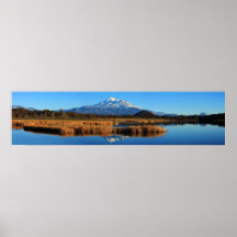 88B MT SHASTA AND GOLDEN TULES (10X40) POSTER