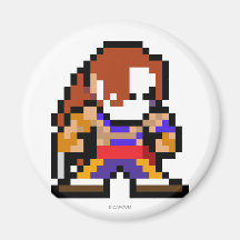 8-Bit Vega Magnet