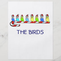 8 Budgies Flyer Design