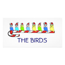 8 Budgies Personalized Photo Card