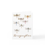 8 Dragonflies Cards
