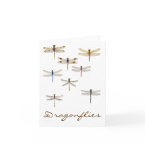 8 Dragonflies Cards