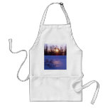 8 January 2010 aprons