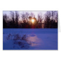 8 January 2010 cards