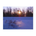 8 January 2010 Post Cards