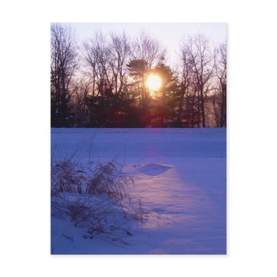 8 January 2010 Postcard by NiftyMorning