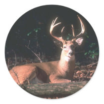 8 Point Buck Round Stickers