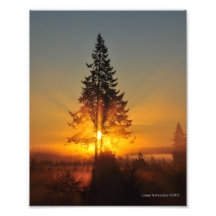 8X10 Sunrise in the Great Northwest Photo