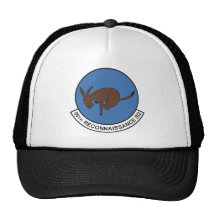 95th Reconnaissance Squadron Hat