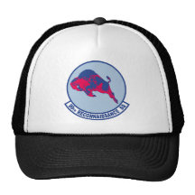 99th Reconnaissance Squadron Trucker Hat