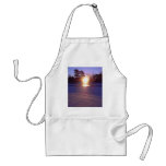 9 January 2010 Apron