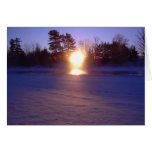 9 January 2010 Greeting Cards