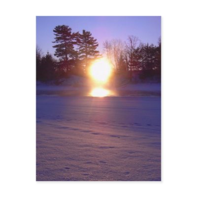 9 January 2010 Post Cards by NiftyMorning