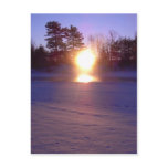 9 January 2010 Post Cards